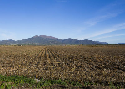 Op de achtergrond de Sierra de Montánchez