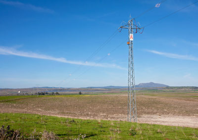 Elektricitieitspaal met nestkast voor scharrelaars