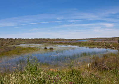 Stuwmeer van Talaván