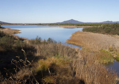 Embalse de Boquerón