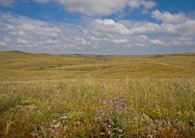 los llanos