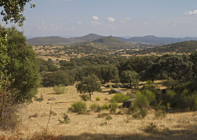 Sierra de San Pedro